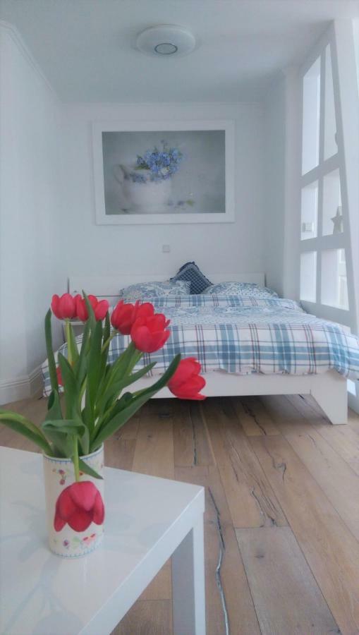 Apartment Seerose Ремзек--Паттонвиле Экстерьер фото